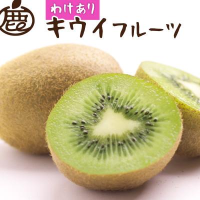 ふるさと納税 紀美野町 わけあり キウイ1kg+250g(傷み補償分)[扁平果]