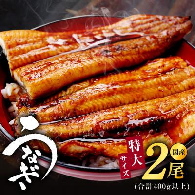 ふるさと納税 泉佐野市 [特大サイズ2尾]国産うなぎ 400g以上[特製タレ付] 炭火焼き