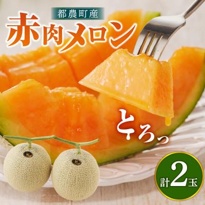 ふるさと納税 都農町 [先行予約]夏用 都農町産「赤肉メロン」計2玉[T015-0065-N](都農町)