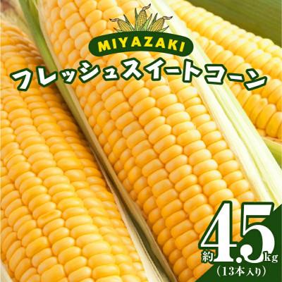 ふるさと納税 都農町 [先行予約]みやざきフレッシュスイートコーン(約4.5kg)とうもろこし[T015-0045]都農町