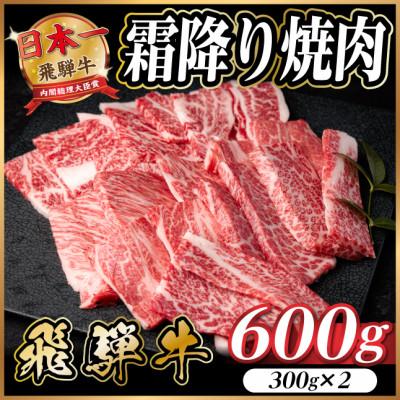 ふるさと納税 羽島市 飛騨牛 霜降り焼肉 約600g(約300g×2)BBQ用 小分け