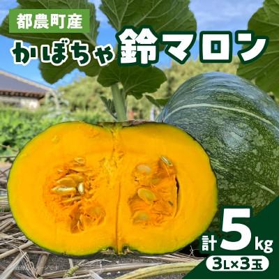 ふるさと納税 都農町 [先行予約]都農町産かぼちゃ「鈴マロン」計5kg カボチャ[T015-0075]