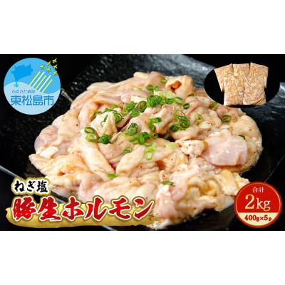 ふるさと納税 東松島市 国産 豚 生ホルモン ねぎ塩味 2kg(400g×5パック)