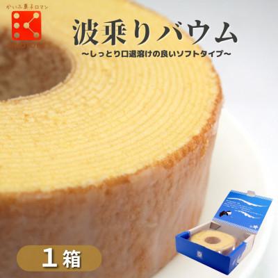 ふるさと納税 海陽町 [1箱]銘店きもとやの「波乗りバウム 」 地元海部のおいしさを詰め込んだ焼き菓子です。