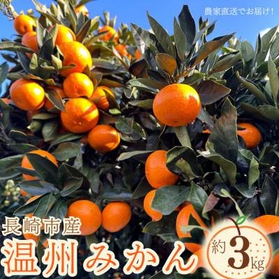 ふるさと納税 長崎市 長崎県産温州みかん約3kg