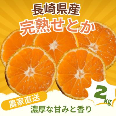 ふるさと納税 長崎市 [先行予約]長崎県産 完熟せとか 2kg(濃厚な甘みと香り・農家直送)