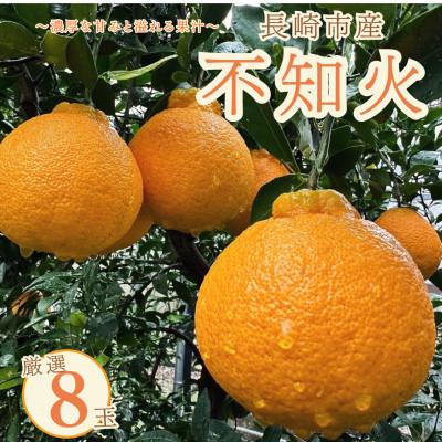 ふるさと納税 長崎市 長崎県産 不知火 厳選8玉(農家直送)〜濃厚な甘みと溢れる果汁〜