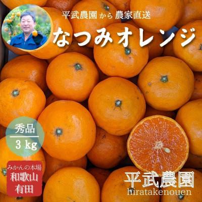 ふるさと納税 有田川町 なつみオレンジ 3kg 和歌山県有田の町の平武農園から農家直送 蛍飛ぶ町から旬の便り