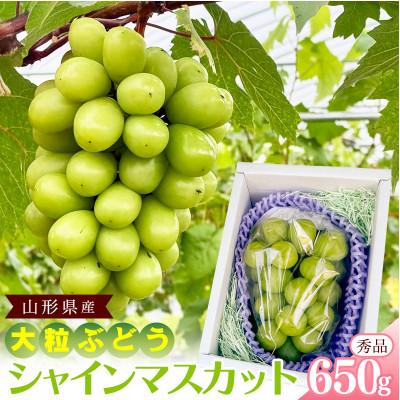 ふるさと納税 寒河江市 令和8年産 山形県産 シャインマスカット 秀品 約650g(1房) [Re:Farmやまがた]