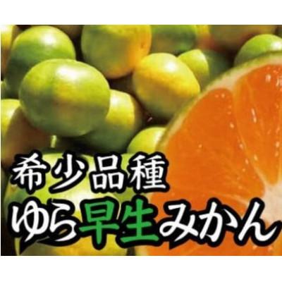 ふるさと納税 広川町 濃厚な味わいゆら早生みかん 約2kg (nuk003-yura-2)