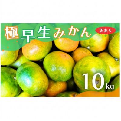 ふるさと納税 広川町 [訳あり]こだわり極早生みかん 約10kg (nuk003-c-10)