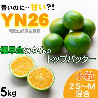 ふるさと納税 和歌山市 YN26 極早生 まごころ産直みかんより農園直送