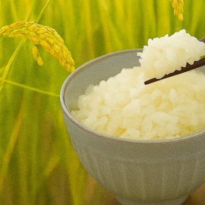 ふるさと納税 勝央町 岡山県勝央町産 お米 10kg