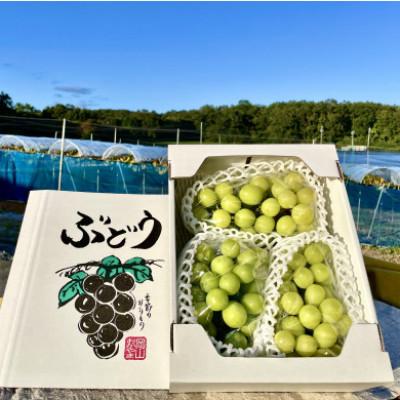 ふるさと納税 美咲町 [2026年9月末より発送]訳ありシャインマスカット 2~4房 1.8kgご家庭用