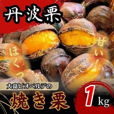 ふるさと納税 綾部市 京都府綾部産 丹波焼き栗 1kg(200g×5パック) 自然な甘みと香ばしさ 冷凍小分け真空パック