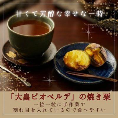 ふるさと納税 綾部市 京都府綾部産 丹波焼き栗 1kg(200g×5パック) 自然な甘みと香ばしさ 冷凍小分け真空パック |  | 01