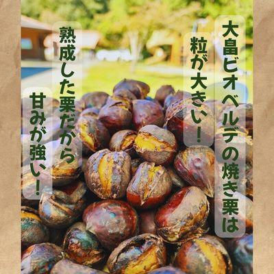 ふるさと納税 綾部市 京都府綾部産 丹波焼き栗 1kg(200g×5パック) 自然な甘みと香ばしさ 冷凍小分け真空パック |  | 02
