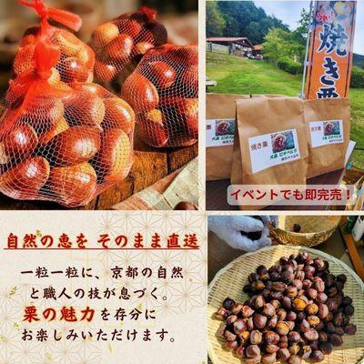 ふるさと納税 綾部市 京都府綾部産 丹波栗焼き栗 計400g |  | 03
