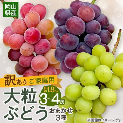 ふるさと納税 美咲町 [2026年9月末より発送]訳あり大粒ぶどう3種セット(シャインマスカット・ピオーネ等3種おまかせ)