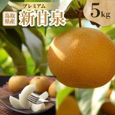 ふるさと納税 伯耆町 プレミアム新甘泉 5kg : Yahoo!ふるさと納税