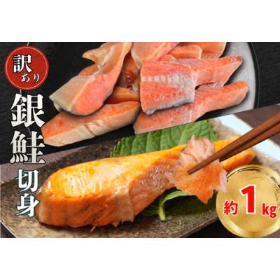 ふるさと納税 銚子市 [訳あり]極厚 塩銀鮭 1kg