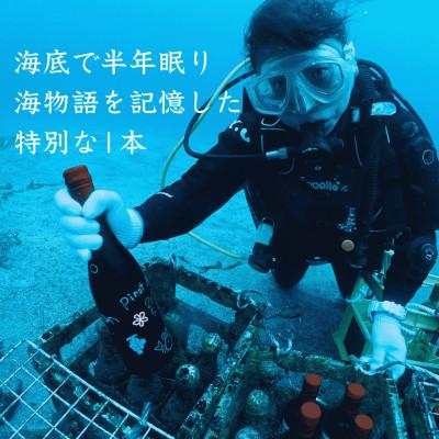 ふるさと納税 真鶴町 【海底に半年沈めて熟成したウイスキー】スコッチ