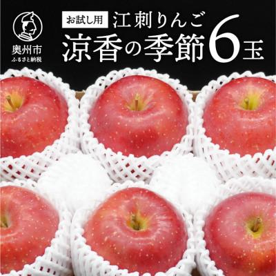 ふるさと納税 奥州市 [お試し用]江刺りんご「涼香の季節」6玉[冷蔵][AQ092]