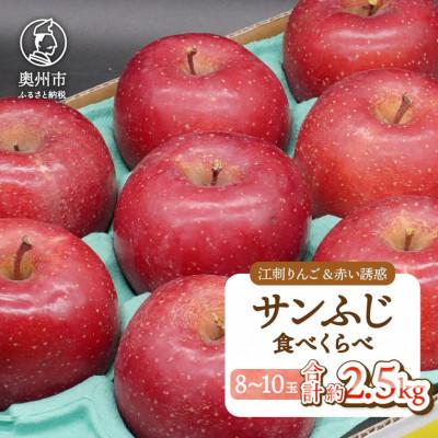 ふるさと納税 奥州市 江刺りんご サンふじ&amp;赤い誘惑 サンふじ食べ比べセット 計約2.5kg(8玉〜10玉)[AQ099]