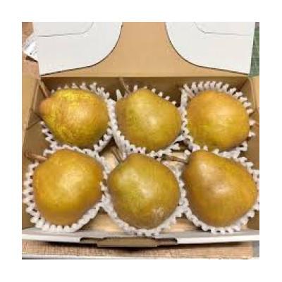 ふるさと納税 中山町 山形県産ラ・フランス ゴールド 特秀品 約2kg玉数 おまかせ