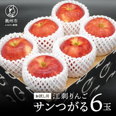 ふるさと納税 奥州市 [お試し用]江刺りんご「サンつがる」6玉[冷蔵][AQ090]
