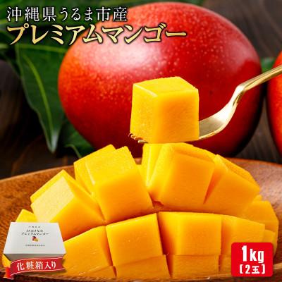 ふるさと納税 うるま市 沖縄県 うるま市産 完熟 プレミアムマンゴー 1kg