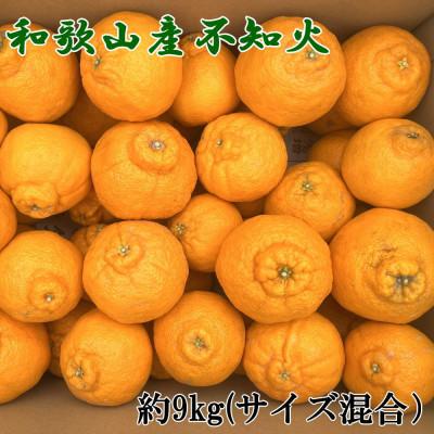 ふるさと納税 新宮市 「農園直送」和歌山県産不知火 もりもりの約9kg(サイズ混合 ご家庭用)(新宮市)