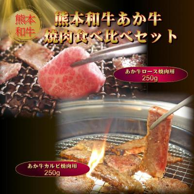 ふるさと納税 益城町 あか牛焼肉食べ比べ 500g(ロース250g、カルビ250g)(益城町)