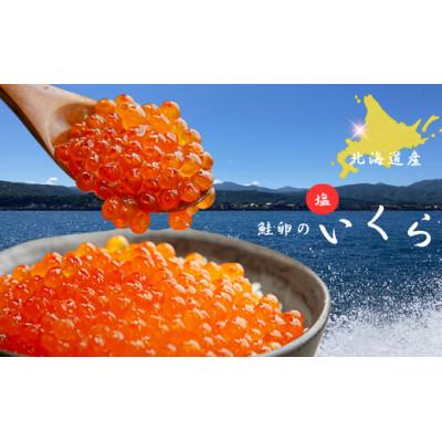 ふるさと納税 増毛町 [北海道産]塩いくら 計100g