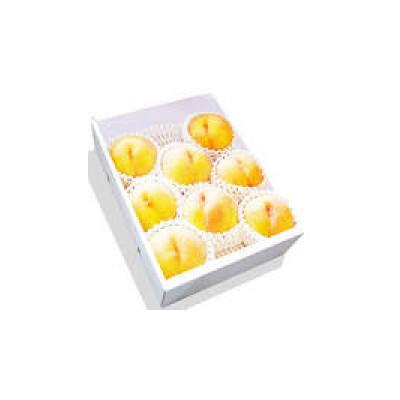 ふるさと納税 中山町 山形県産黄桃 特秀品 約1.5kg 品種・玉数おまかせ