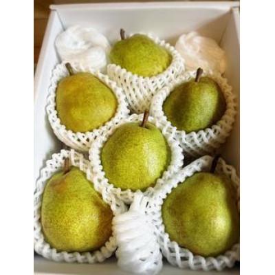 ふるさと納税 中山町 山形県産ラ・フランス　約1.5kg　特秀品　玉数おまかせ |  | 01
