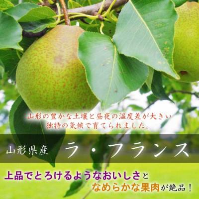 ふるさと納税 中山町 山形県産ラ・フランス　約1.5kg　特秀品　玉数おまかせ |  | 02
