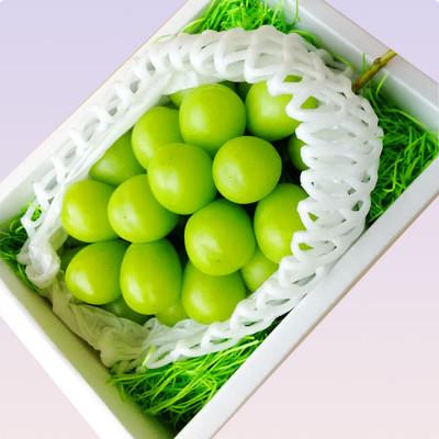 ふるさと納税 中山町 山形県産シャインマスカット約350g 秀品 1房