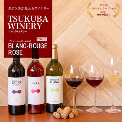 ふるさと納税 つくば市 つくばワイナリー TSUKUBA BLANC ・ ROUGE &amp; ROSE セット