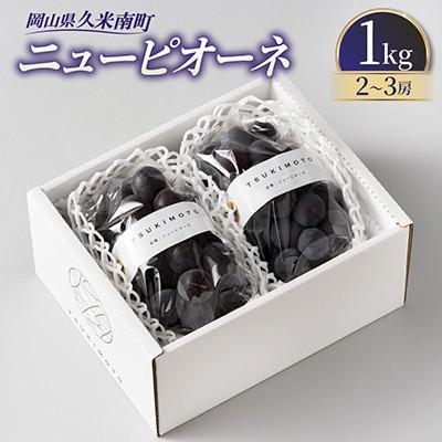 ふるさと納税 美咲町 [種なし]岡山県産 ニューピオーネ 1kg箱(2〜3房入り)