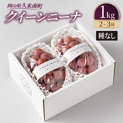 ふるさと納税 美咲町 [種なし]岡山県産クイーンニーナ 1kg箱(2~3房入り)