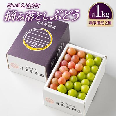 ふるさと納税 美咲町 岡山県産 摘み落としぶどう 農家セレクト2種類詰め合わせ 1kg