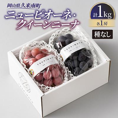 ふるさと納税 美咲町 [種なし]岡山県産ニューピオーネ・クイーンニーナ MIX 1kg箱(各1房ずつ)