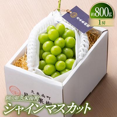 ふるさと納税 美咲町 [種なし]岡山県産シャインマスカット 1房箱 計約800g