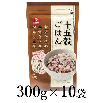ふるさと納税 南アルプス市 はくばく 十五穀ご飯 300g×10袋