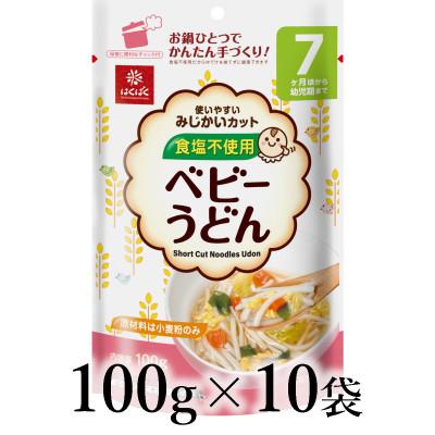 ふるさと納税 南アルプス市 はくばく ベビーうどん 100g×10袋