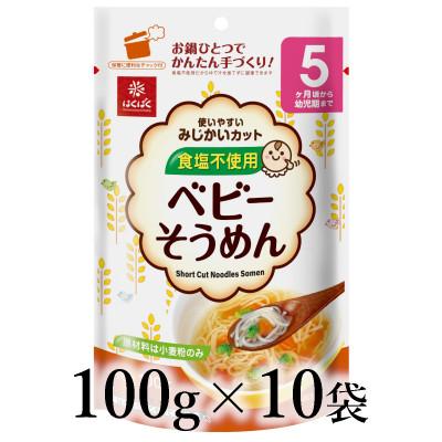 ふるさと納税 南アルプス市 はくばく ベビーそうめん 100g×10袋