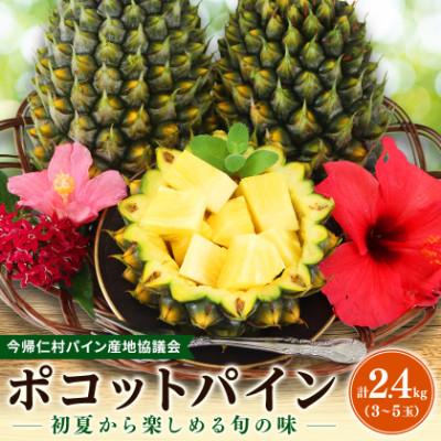ふるさと納税 今帰仁村 【2027年5月中旬から順次発送】今帰仁村パイン産地協議会 ポコットパイン2.4kg(3〜5玉) | 