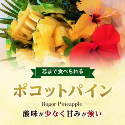 ふるさと納税 今帰仁村 【2027年5月中旬から順次発送】今帰仁村パイン産地協議会 ポコットパイン2.4kg(3〜5玉) |  | 01