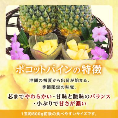 ふるさと納税 今帰仁村 【2027年5月中旬から順次発送】今帰仁村パイン産地協議会 ポコットパイン2.4kg(3〜5玉) |  | 02